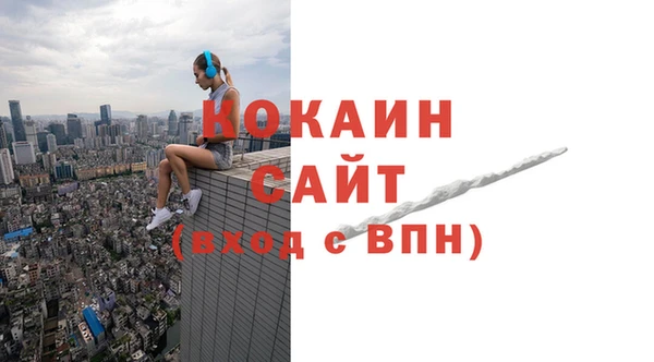 стафф Алзамай