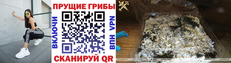 Галлюциногенные грибы Psilocybe  Спас-Клепики 